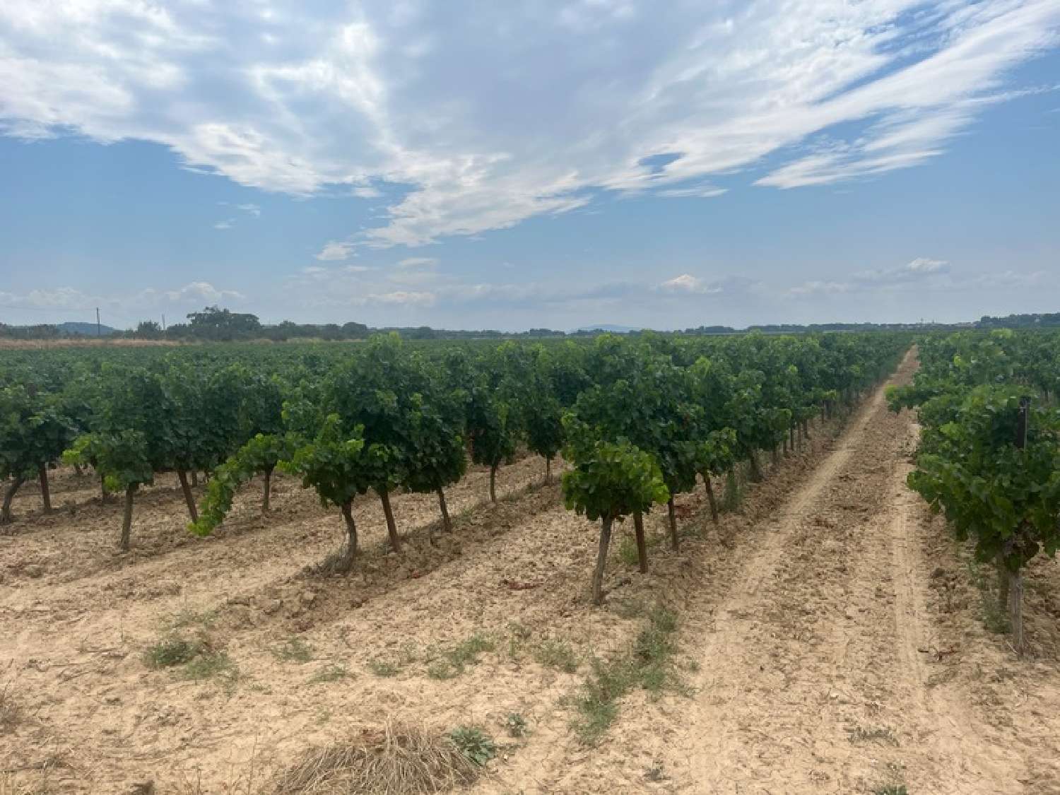  te koop huis Cuxac-d'Aude Aude 4