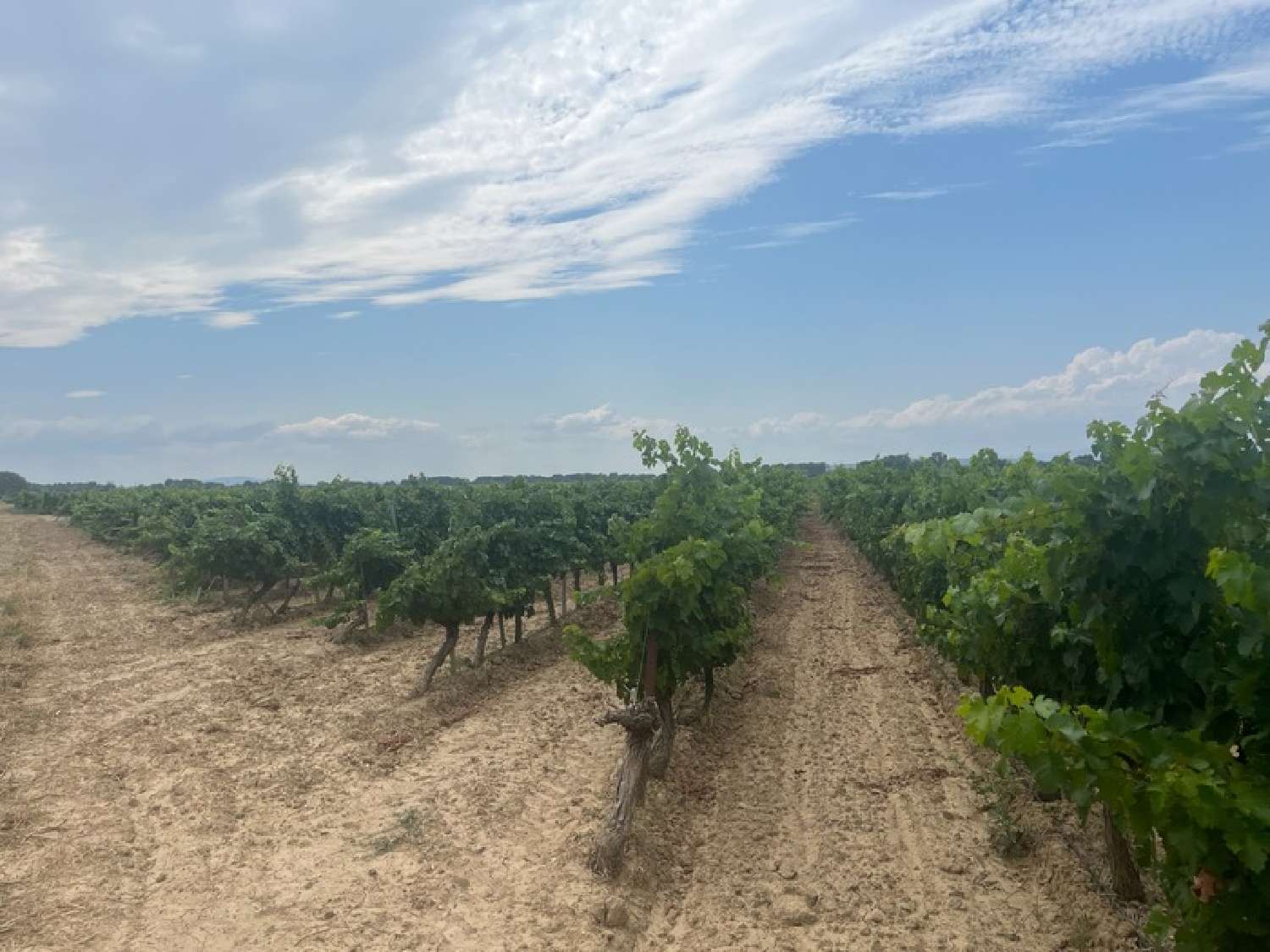  te koop huis Cuxac-d'Aude Aude 5