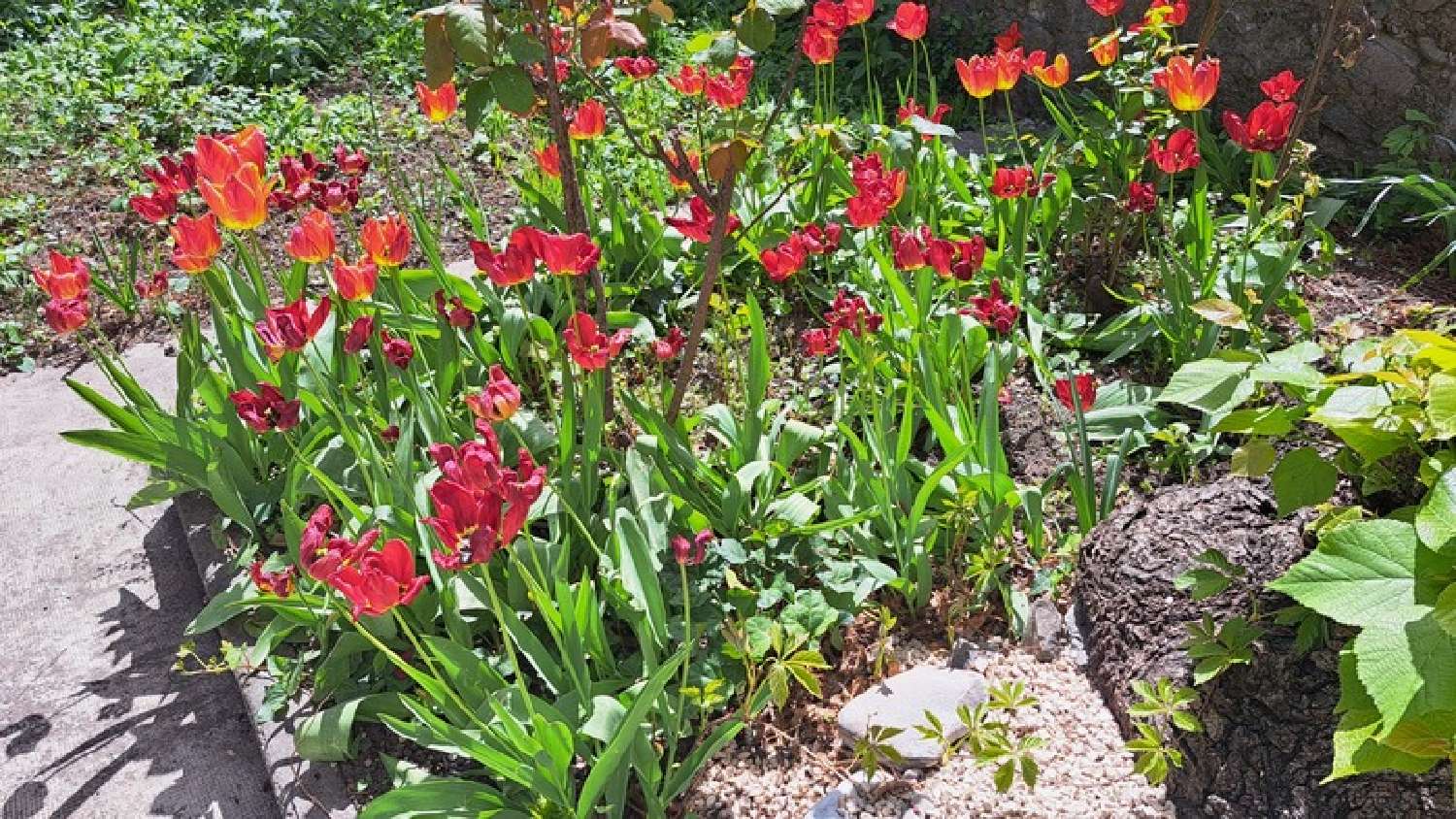 te koop huis Digne-Les-Bains Alpes-de-Haute-Provence 3