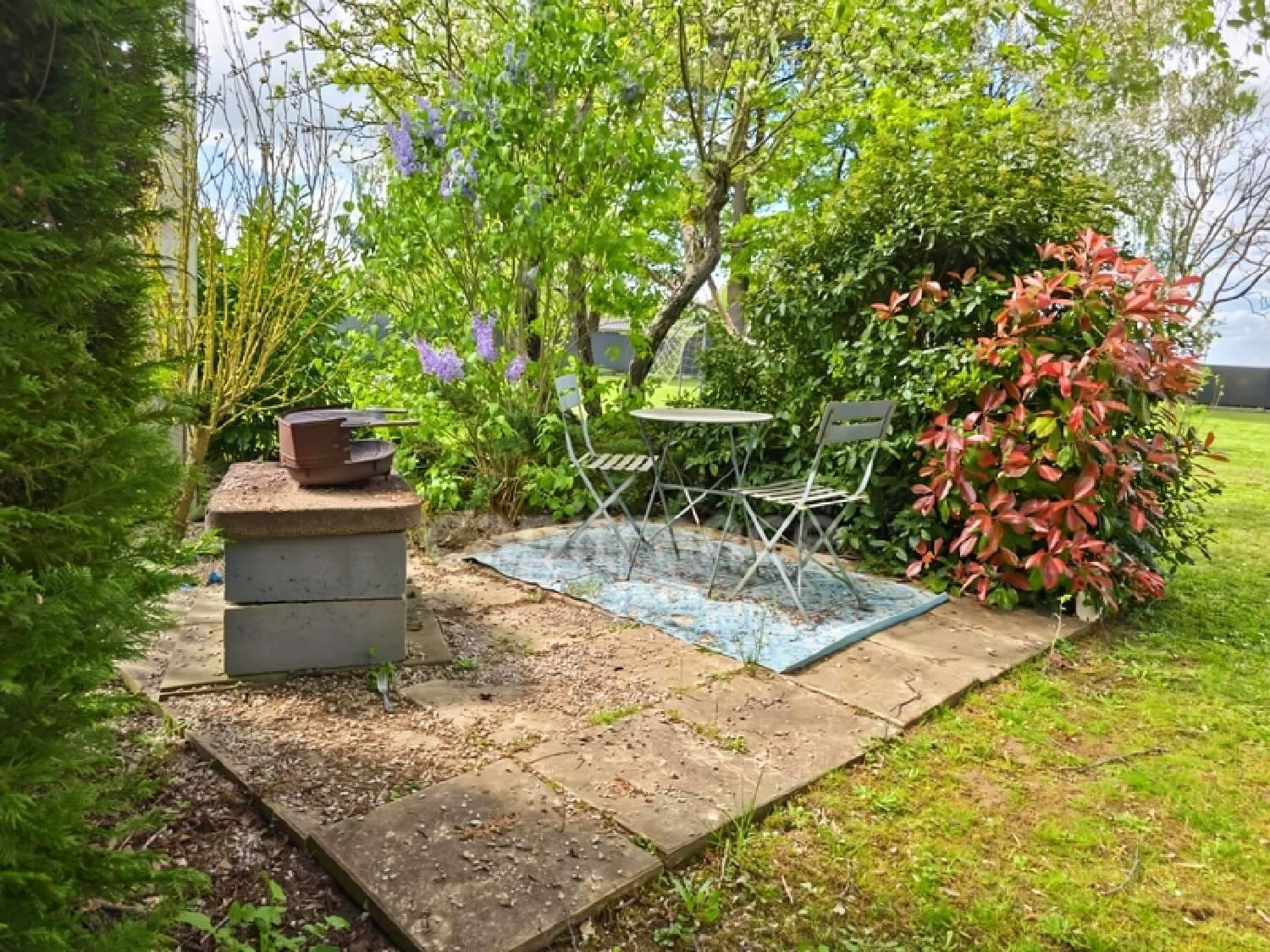  for sale house Dollon Sarthe 6