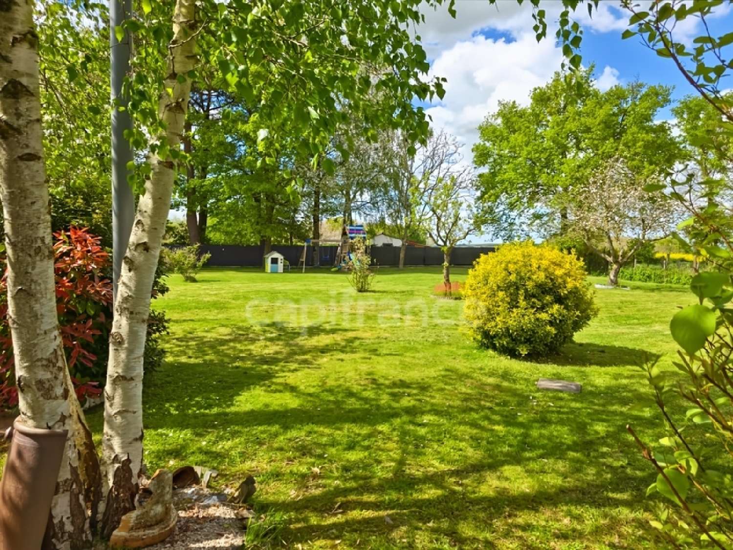  for sale house Dollon Sarthe 7