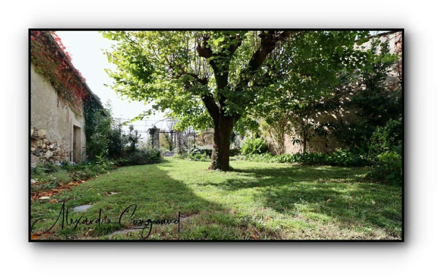  te koop huis Dourgne Tarn 3