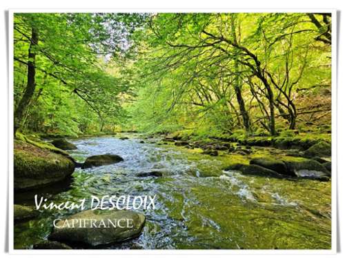 Dun-les-Places Nièvre casa foto 7149591