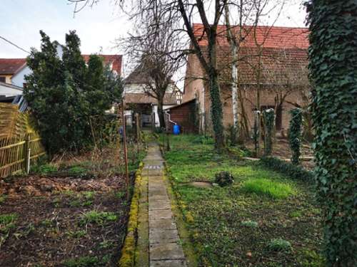 Duttlenheim Bas-Rhin Haus Bild 7158928