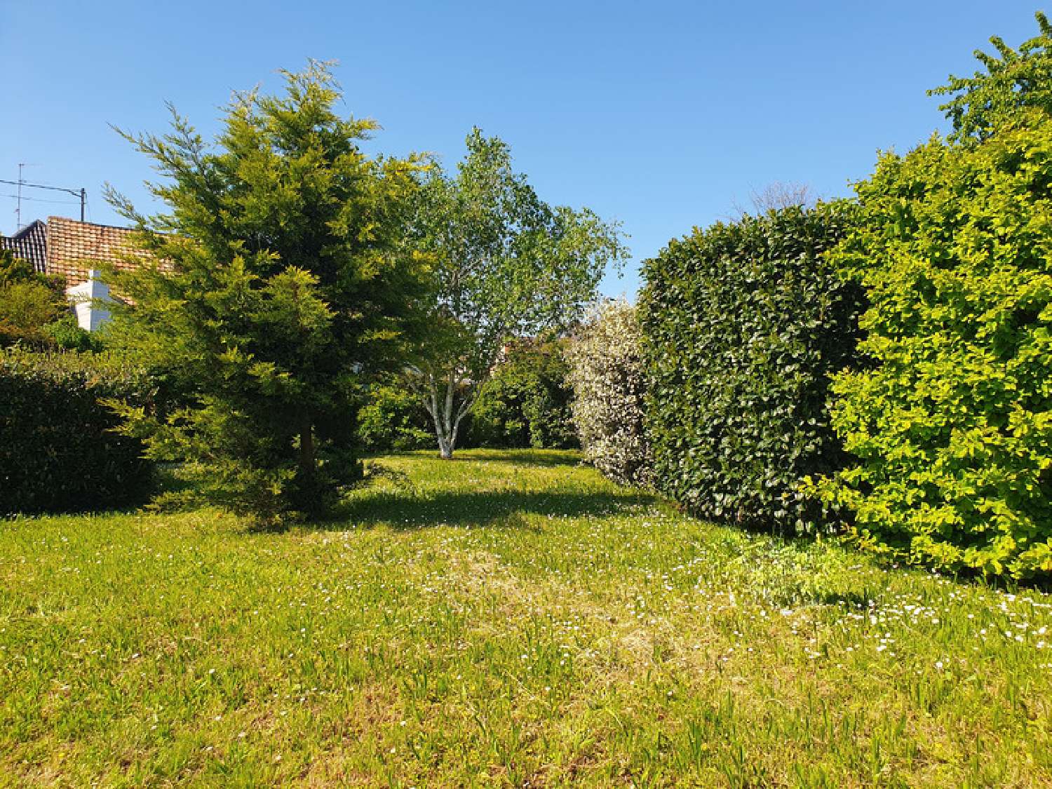 kaufen Haus Eckbolsheim Bas-Rhin 8