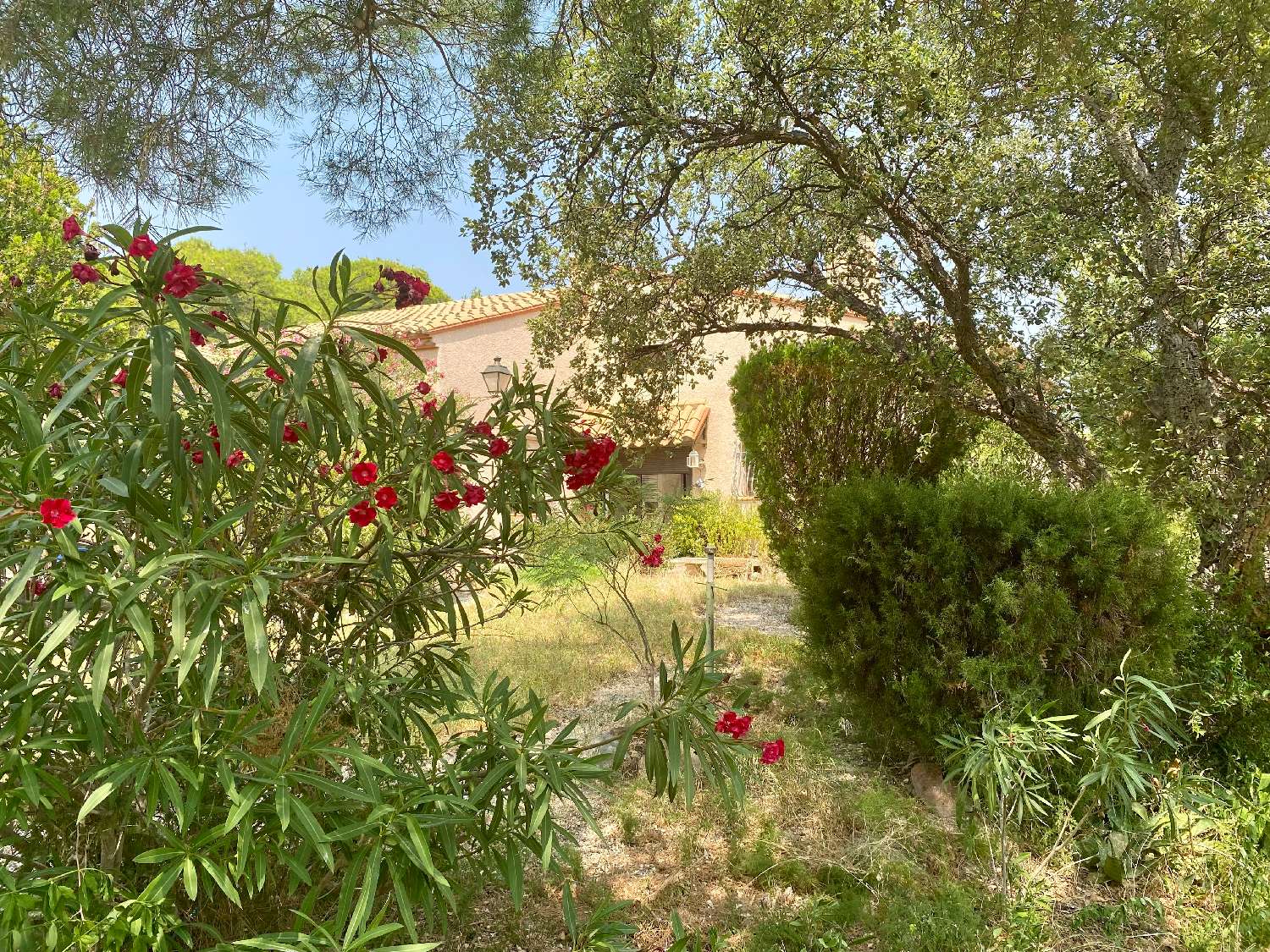  te koop huis Espira-de-l'Agly Pyrénées-Orientales 3