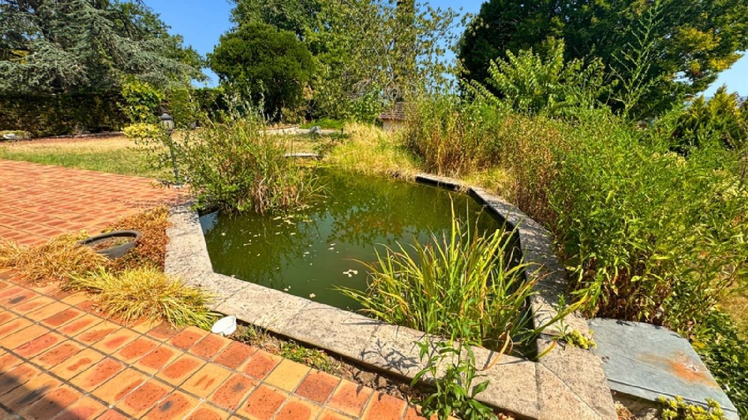  à vendre maison Estillac Lot-et-Garonne 5
