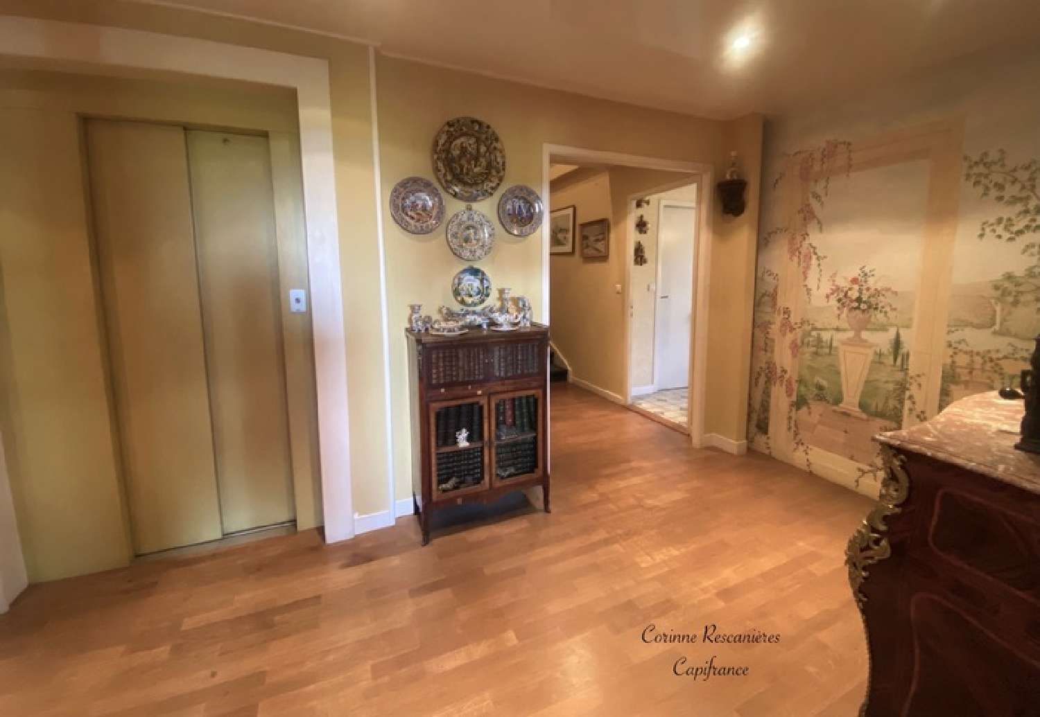  te koop huis Ferney-Voltaire Ain 2