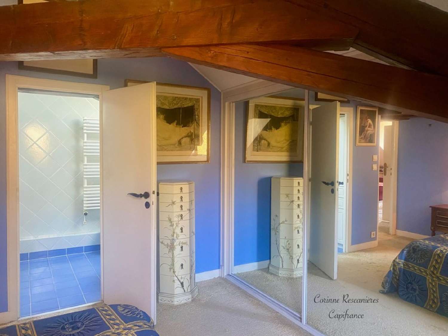  te koop huis Ferney-Voltaire Ain 7