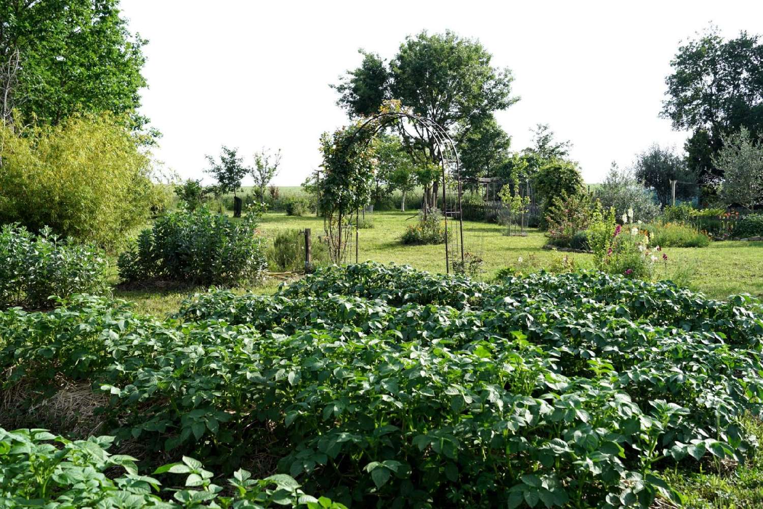  te koop huis Fleurance Gers 5