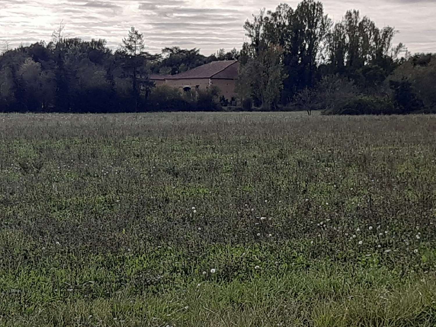 à vendre maison Fleurance Gers 4