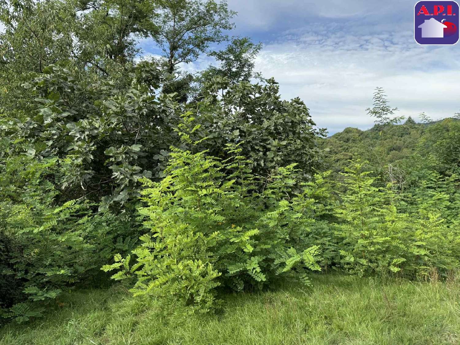  te koop huis Foix Ariège 6