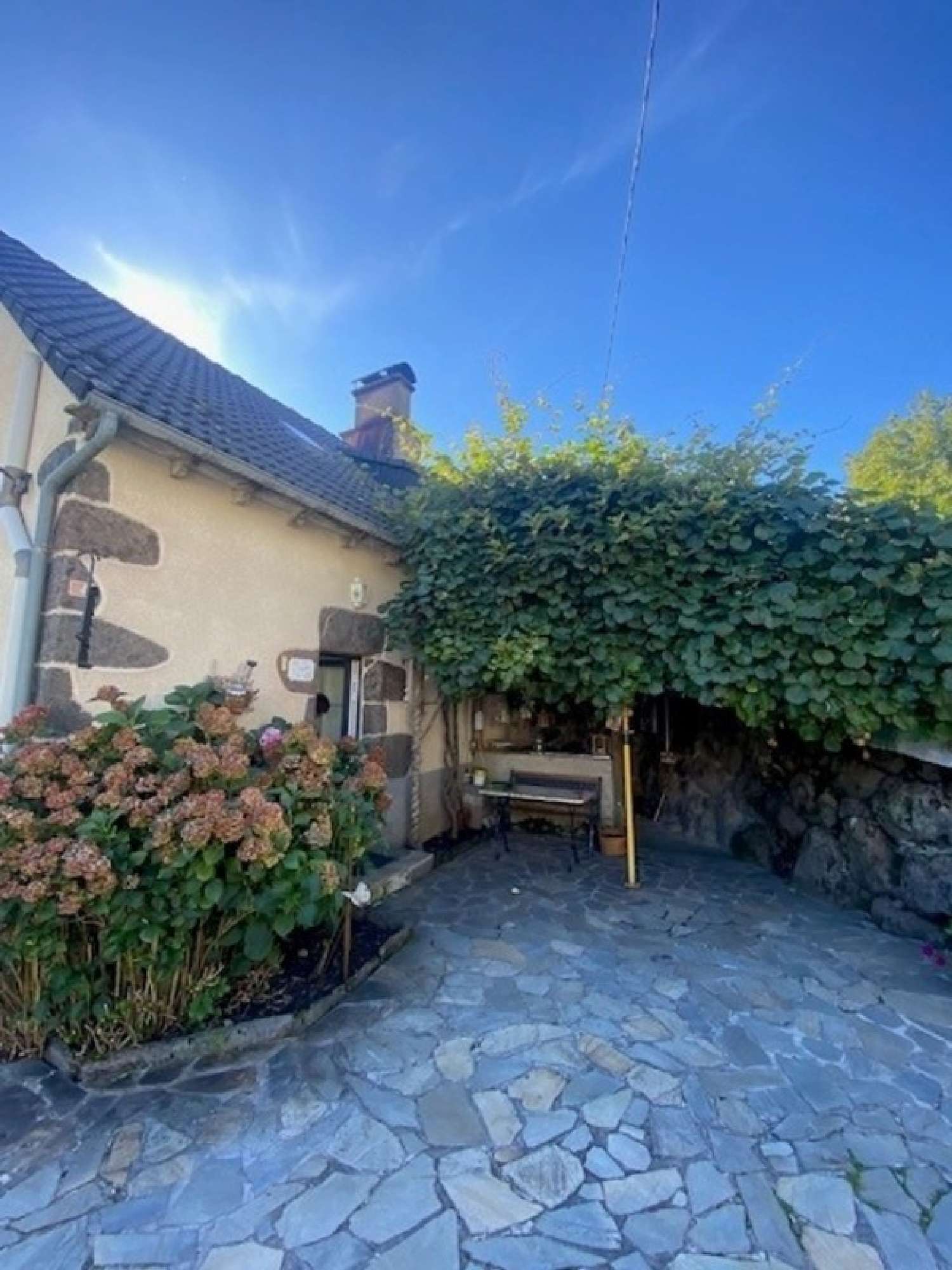  for sale house Fontanges Cantal 2