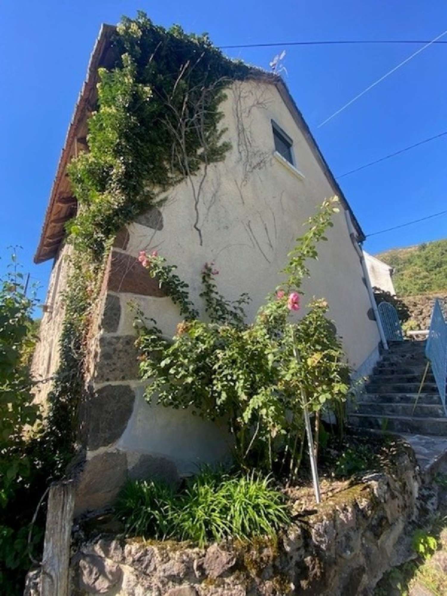  for sale house Fontanges Cantal 7
