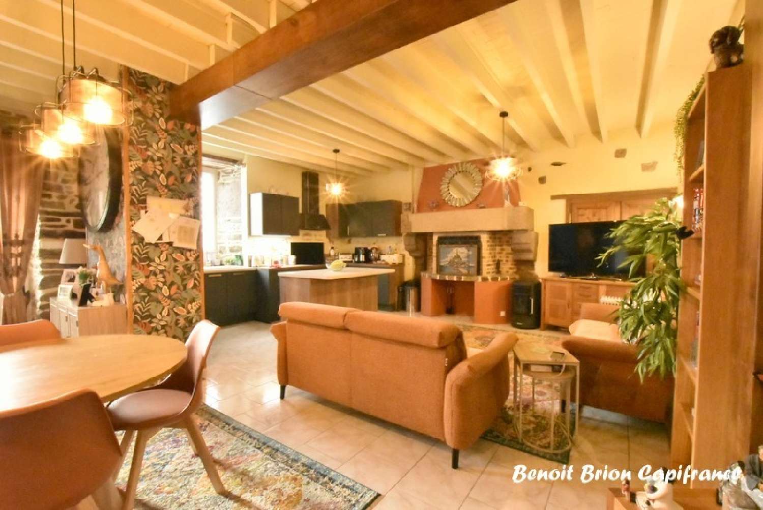 à vendre maison Fougerolles-du-Plessis Mayenne 6