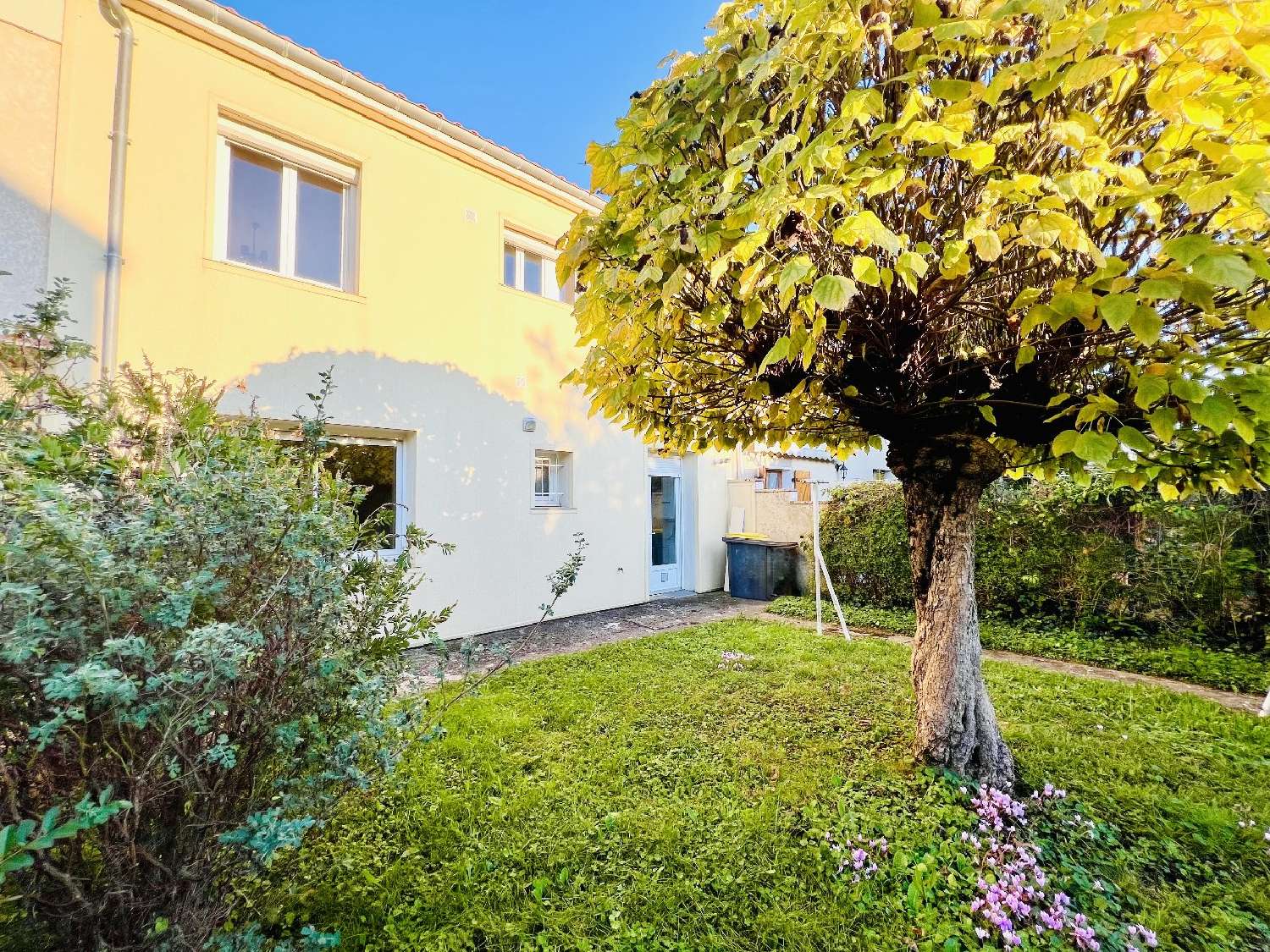  à vendre maison Fréjairolles Tarn 1
