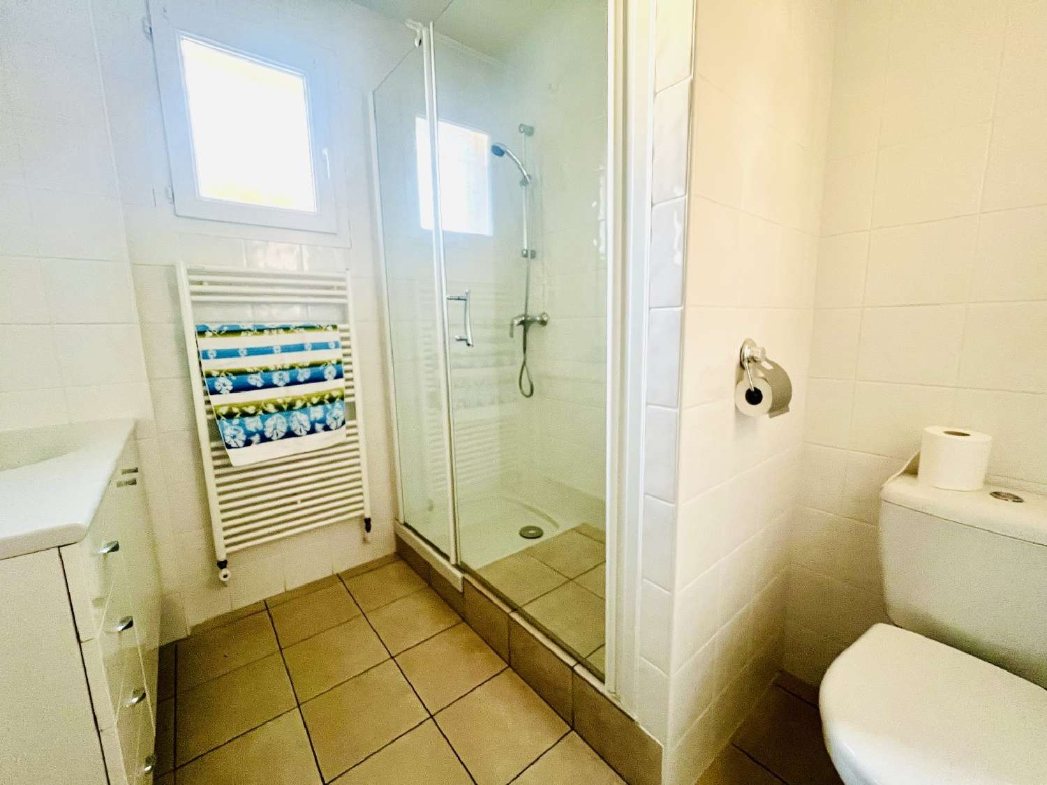  à vendre maison Fréjairolles Tarn 8