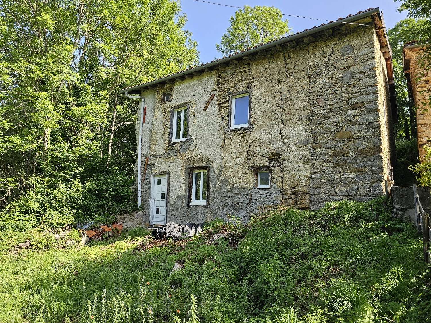  kaufen Haus Freychenet Ariège 1