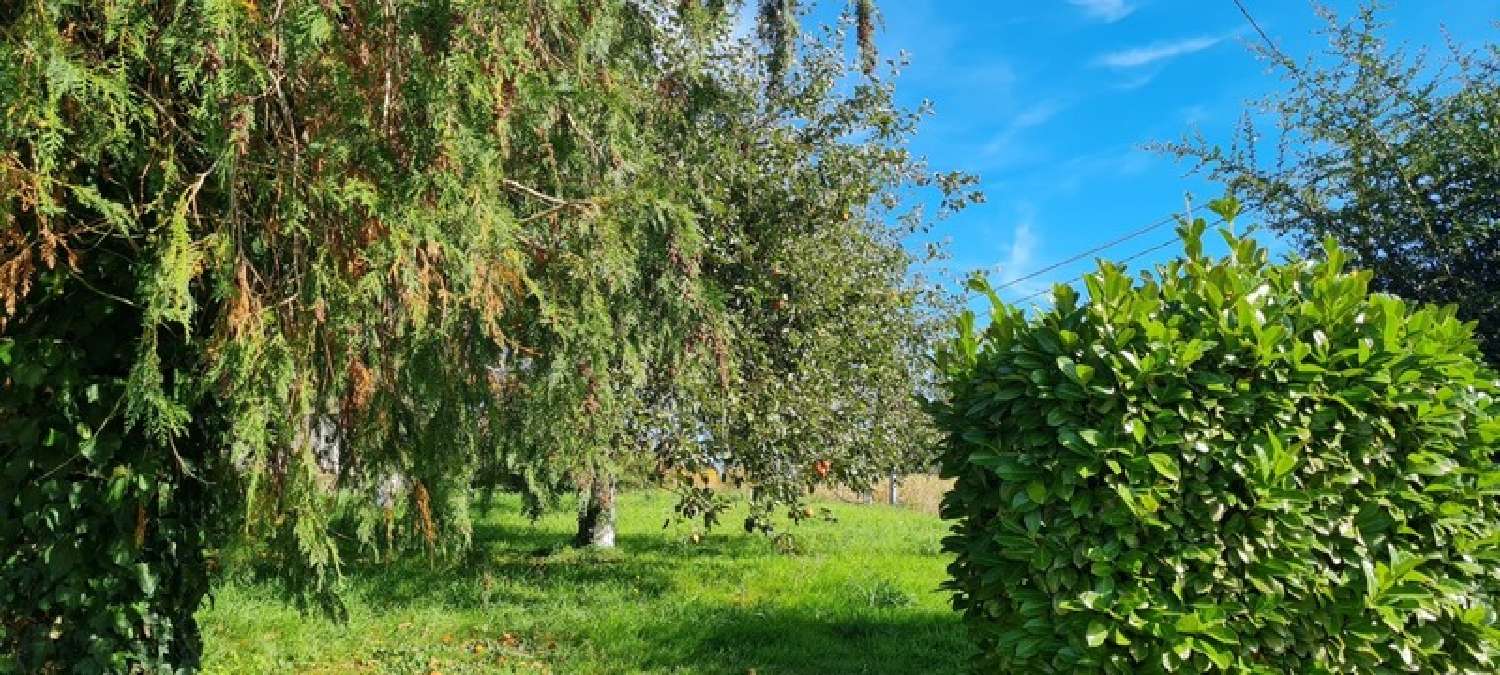 à vendre maison Gévezé Ille-et-Vilaine 7
