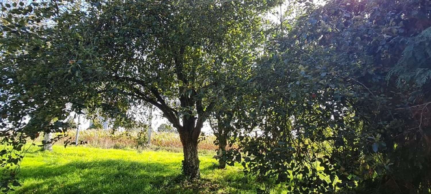 à vendre maison Gévezé Ille-et-Vilaine 8