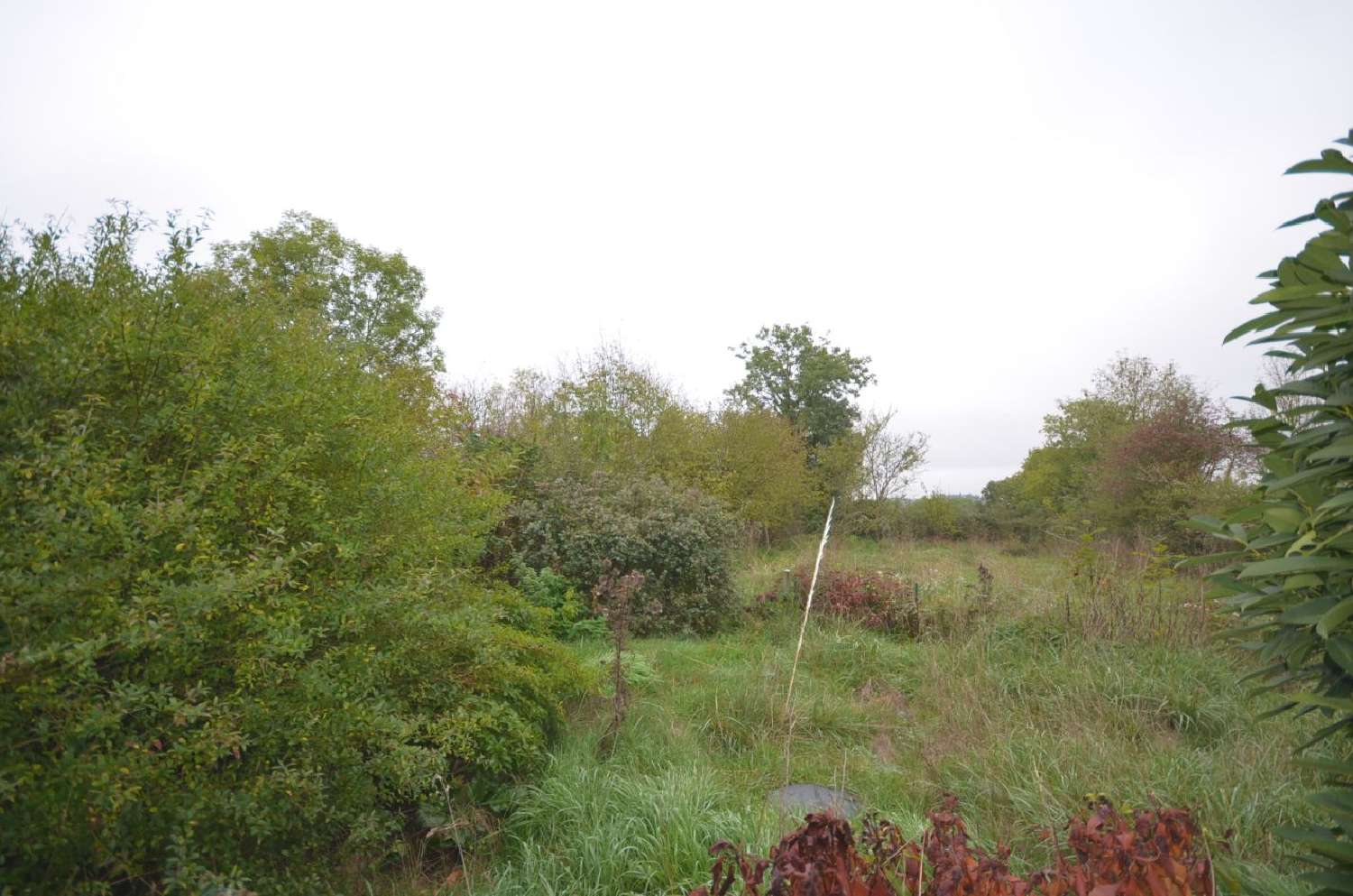  à vendre maison Gouzon Creuse 3