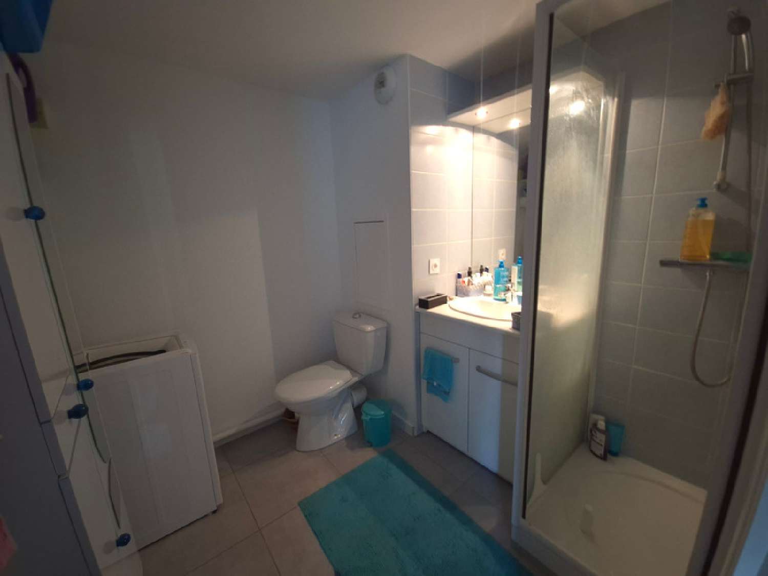  te koop huis Grenoble 38100 Isère 5