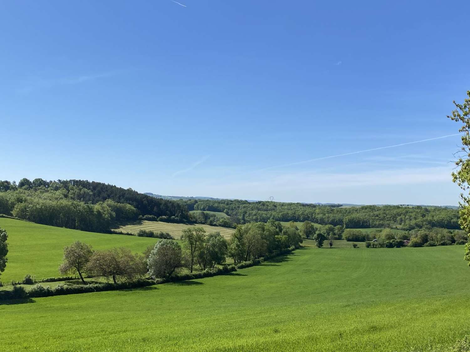  kaufen Haus Gurat Charente 5