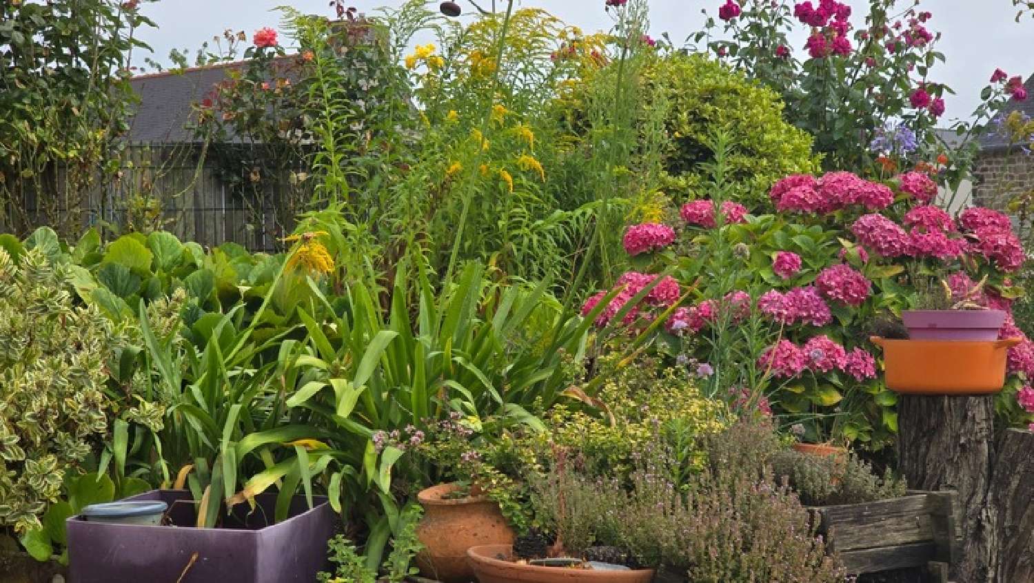  for sale house Hirel Ille-et-Vilaine 2