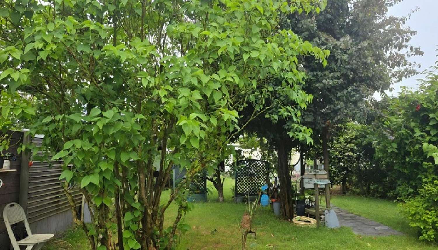  for sale house Hirel Ille-et-Vilaine 3