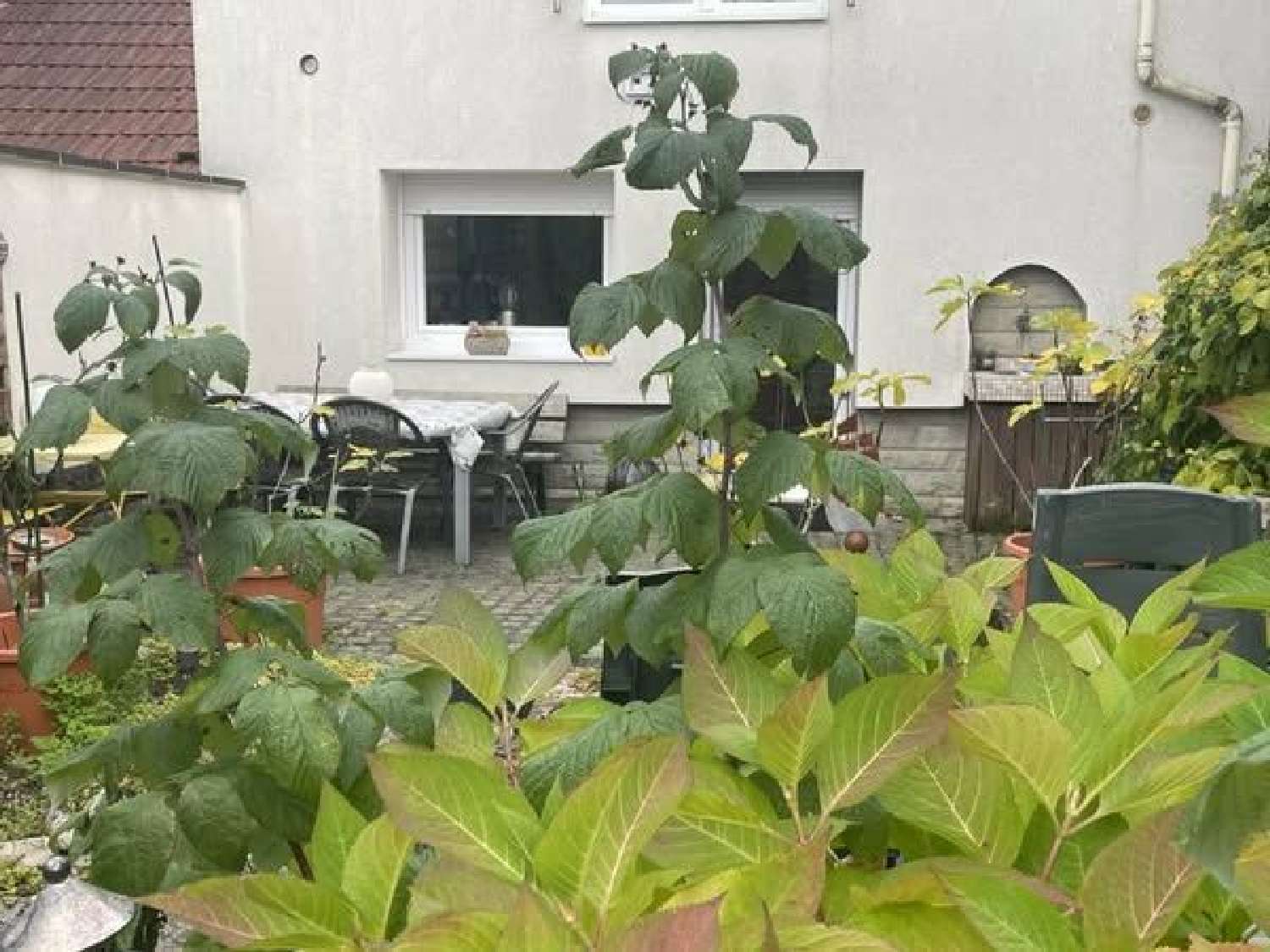 kaufen Haus Kerbach Moselle 2