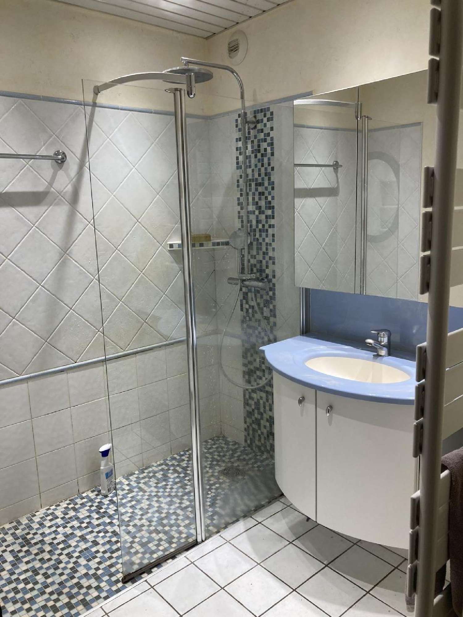  à vendre maison La Buisse Isère 5