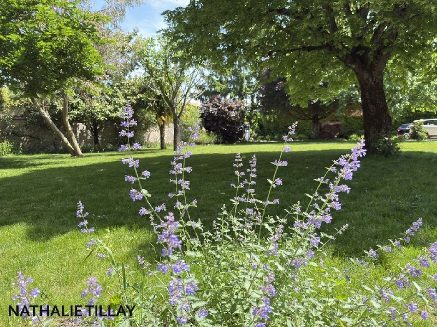  te koop huis La Chapelle-Saint-Mesmin Loiret 3