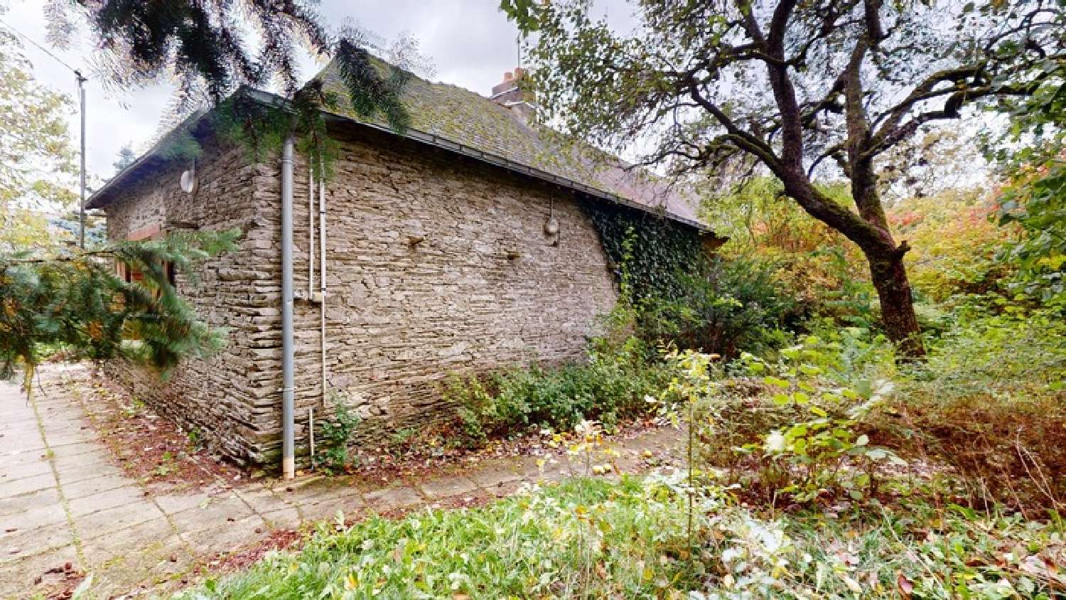 for sale house La Chapelle-Glain Loire-Atlantique 4