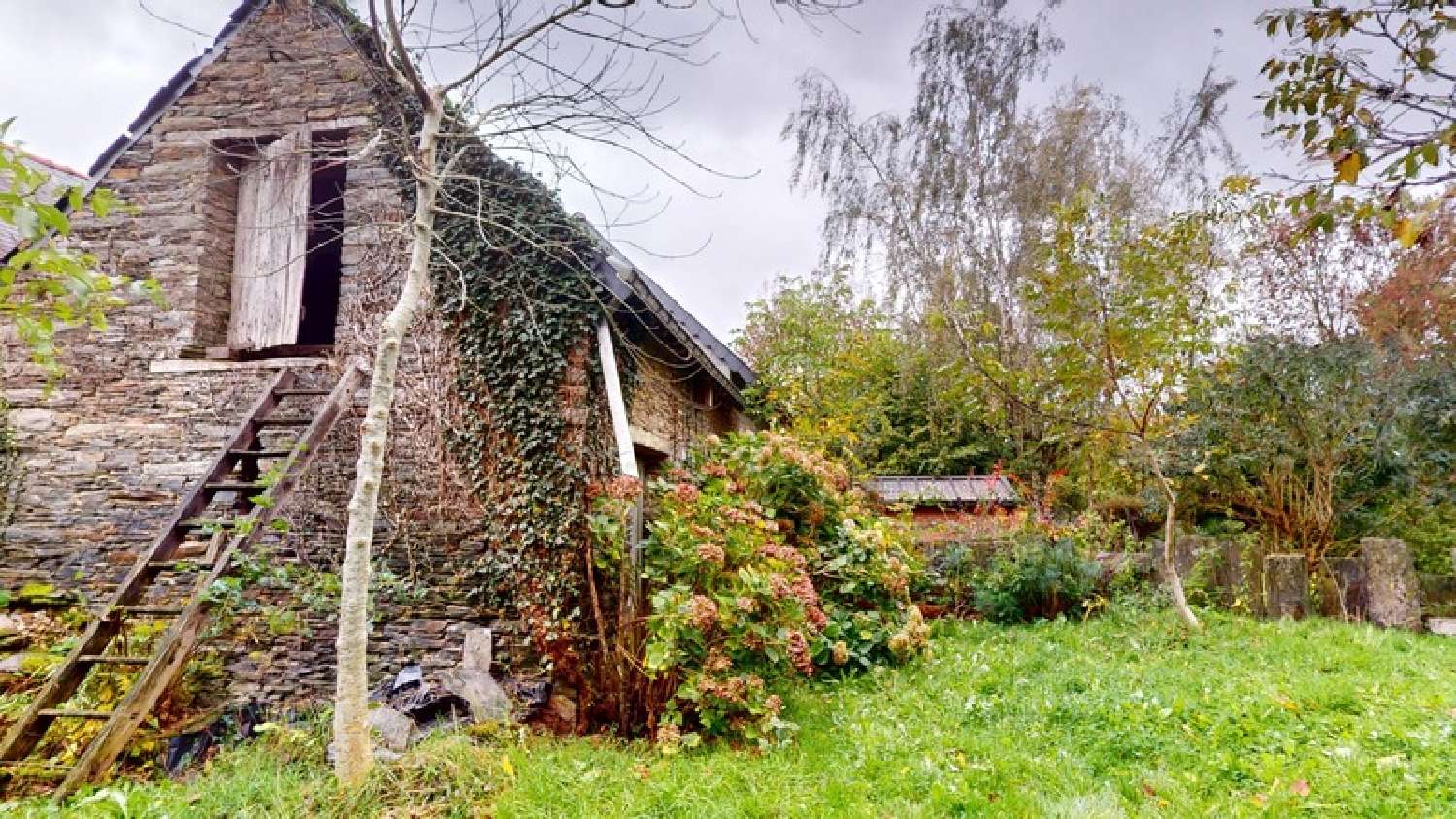 for sale house La Chapelle-Glain Loire-Atlantique 6