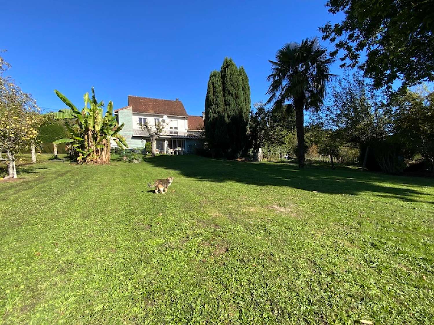  en venta casa La Coquille Dordoña 5