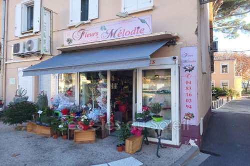 La Farlède Var Haus Bild 7153279