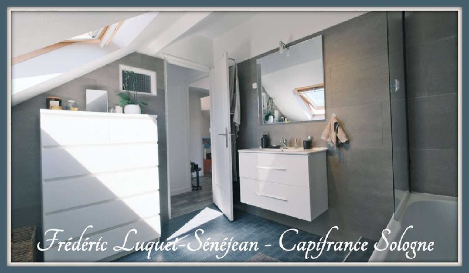 for sale house La Ferté-Saint-Aubin Loiret 3