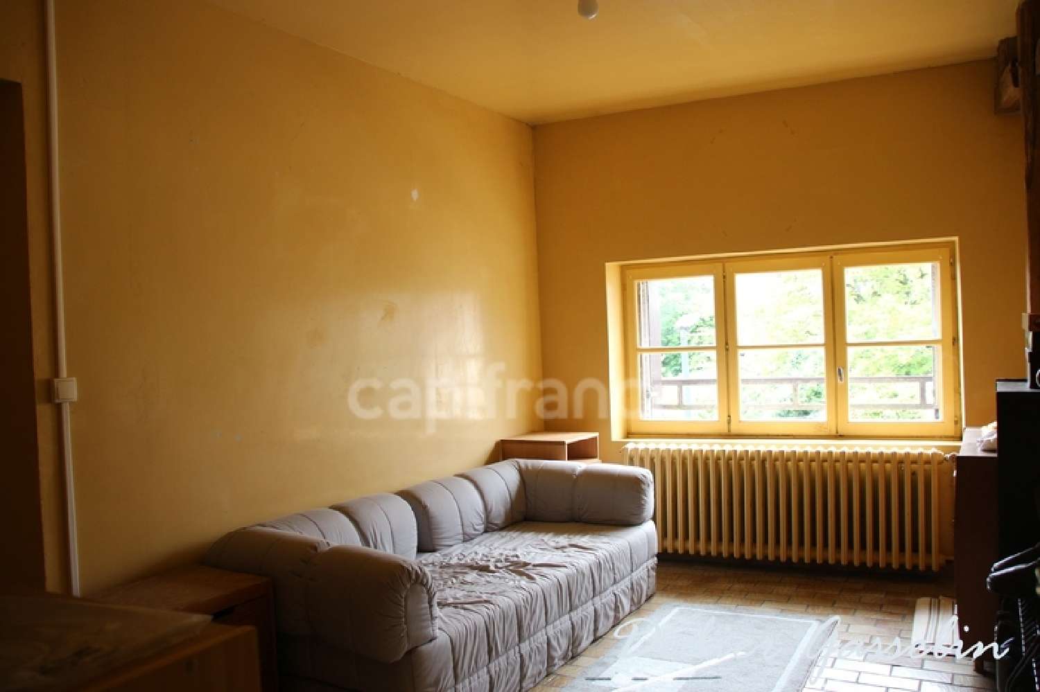  te koop huis Trizay-Coutretot-Saint-Serge Eure-et-Loir 8