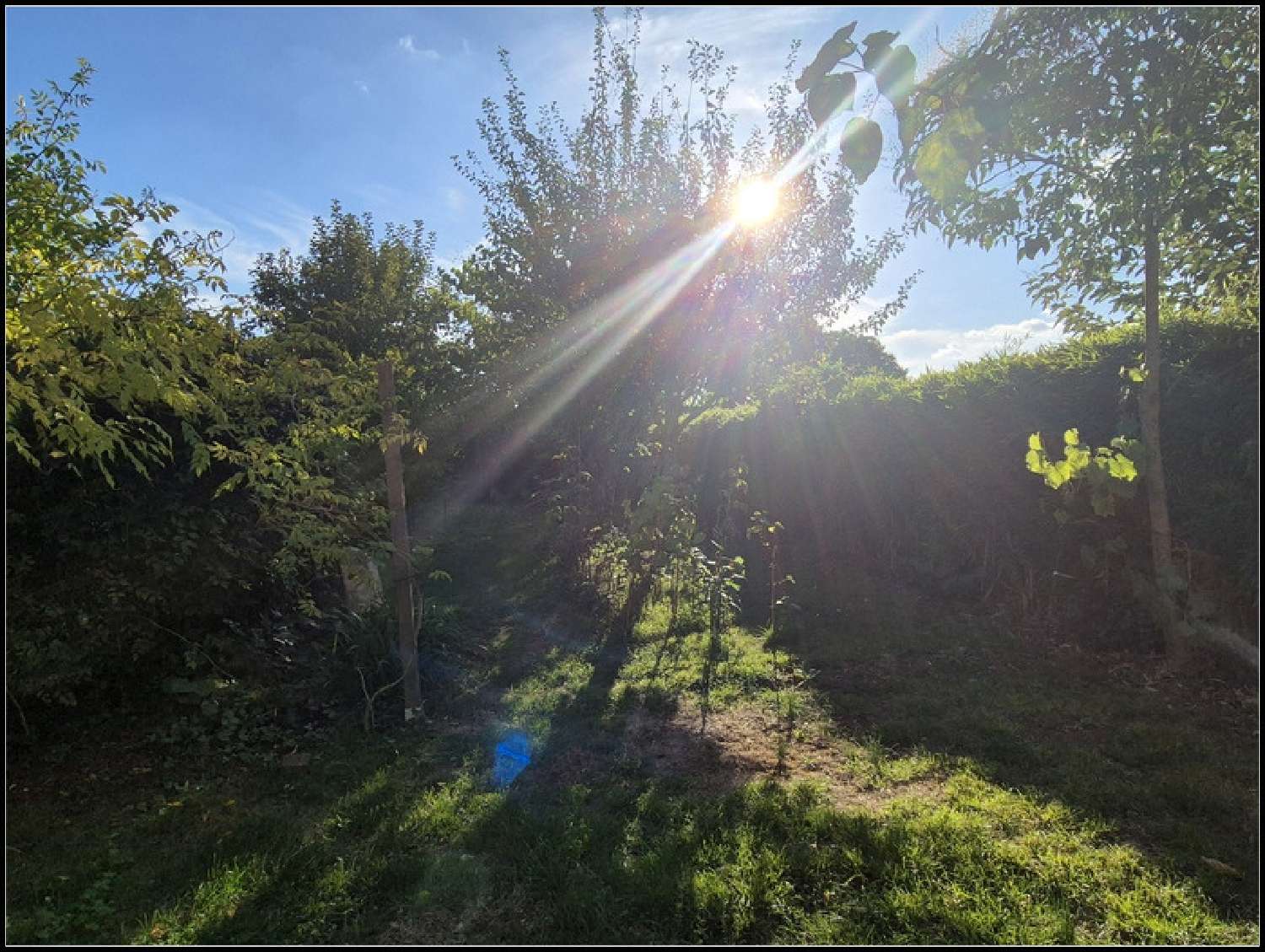  à vendre maison La Romieu Gers 6