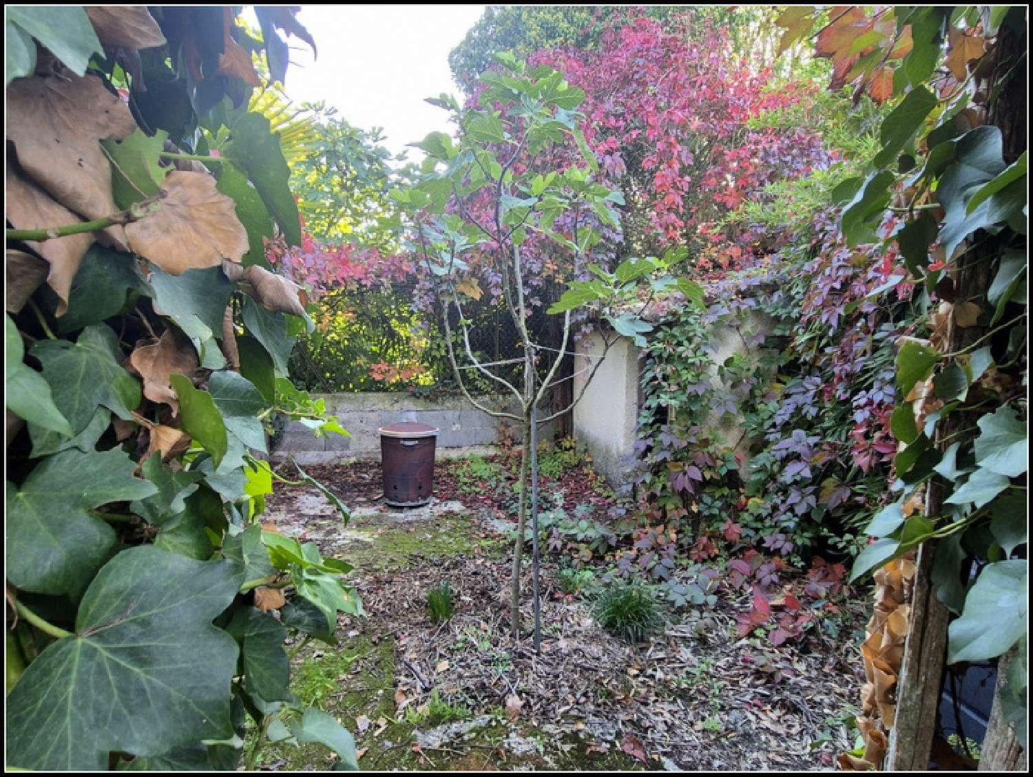  à vendre maison La Romieu Gers 7
