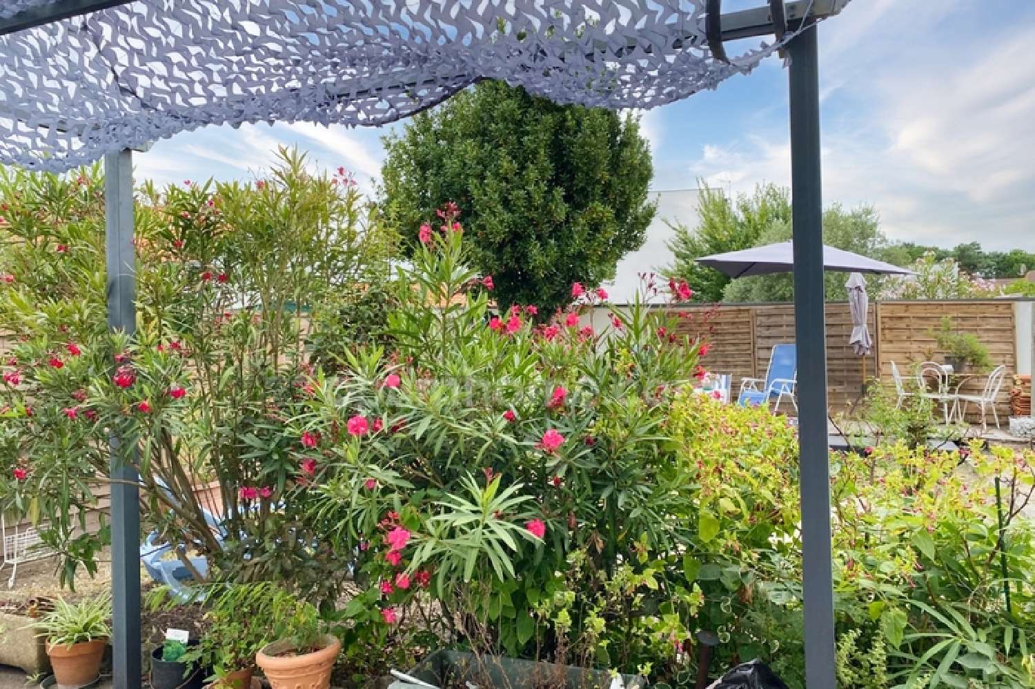  à vendre maison La Tremblade Charente-Maritime 4