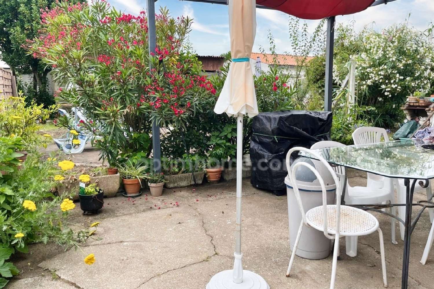  à vendre maison La Tremblade Charente-Maritime 5