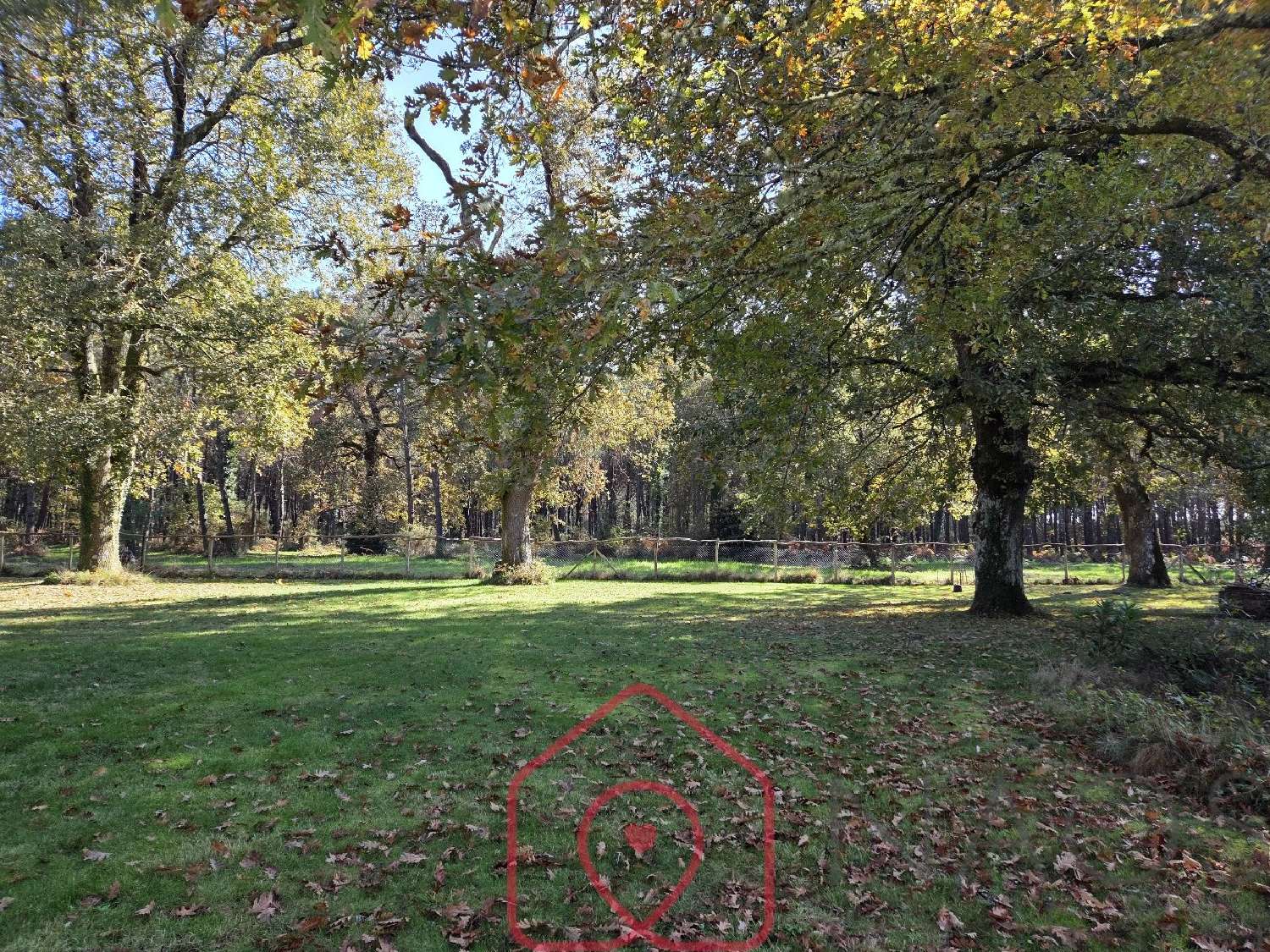  en venta casa Labouheyre Landes 5