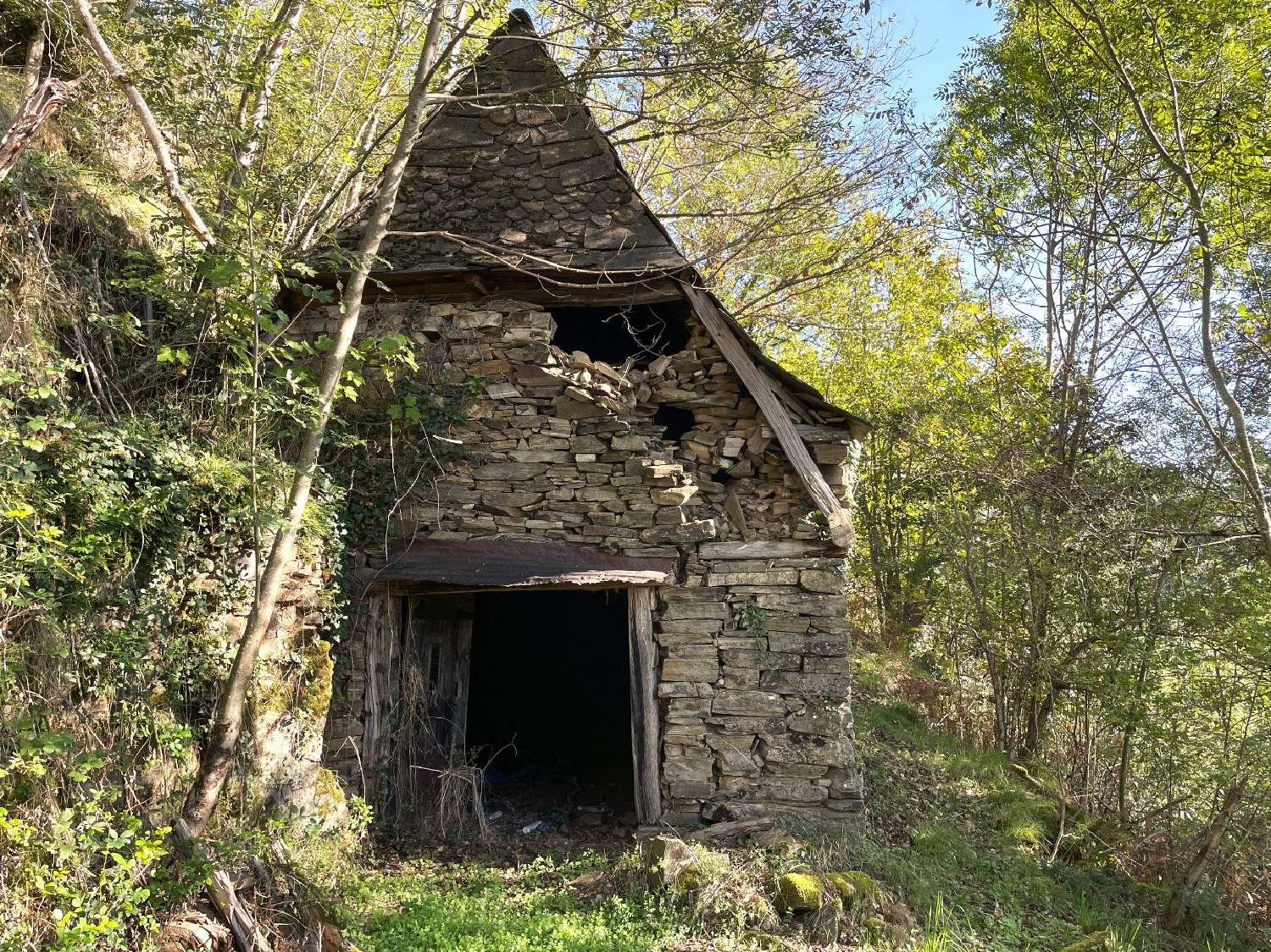  te koop huis Lacroix-Barrez Aveyron 2