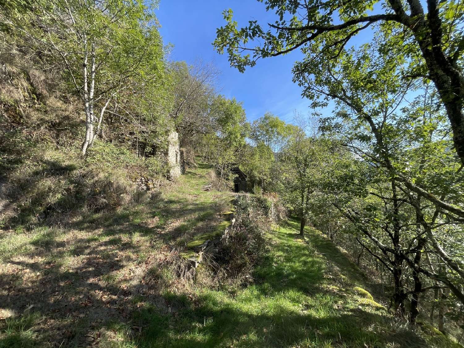  te koop huis Lacroix-Barrez Aveyron 5