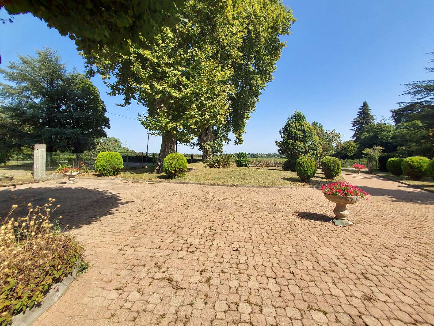  à vendre maison Lamothe-Landerron Gironde 2