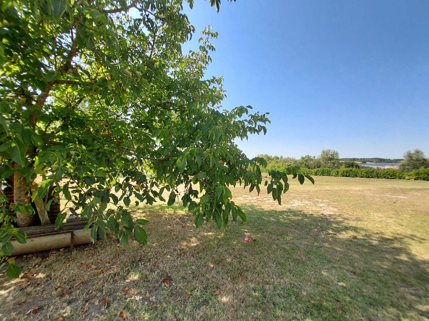  à vendre maison Lamothe-Landerron Gironde 8