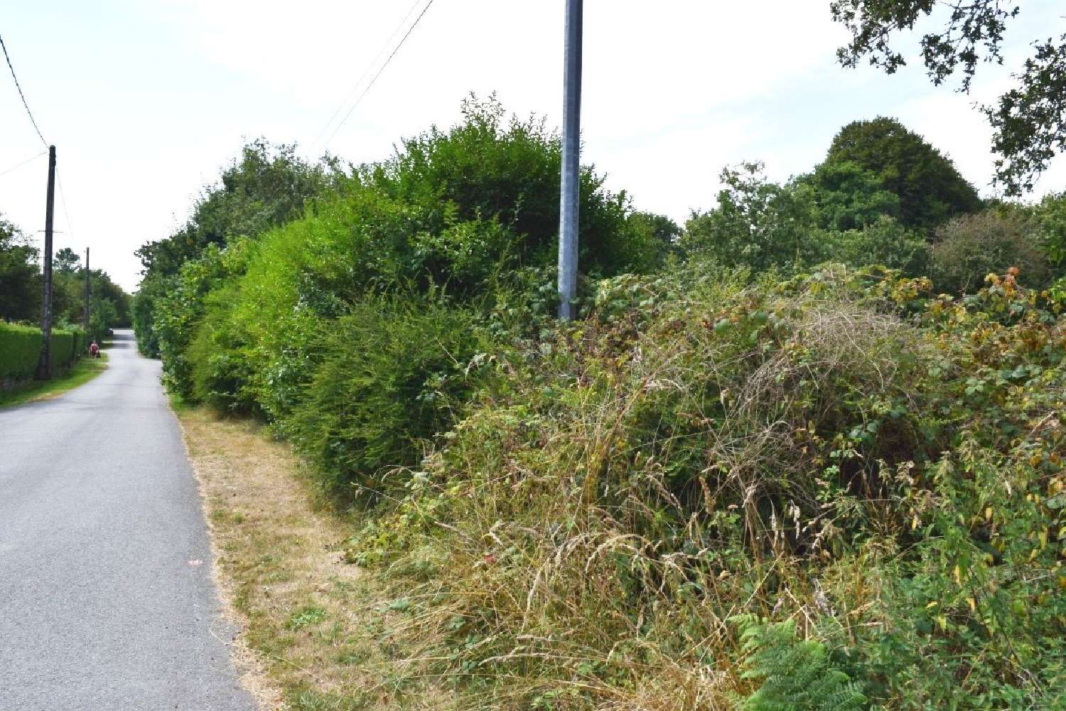  kaufen Haus Langonnet Morbihan 4