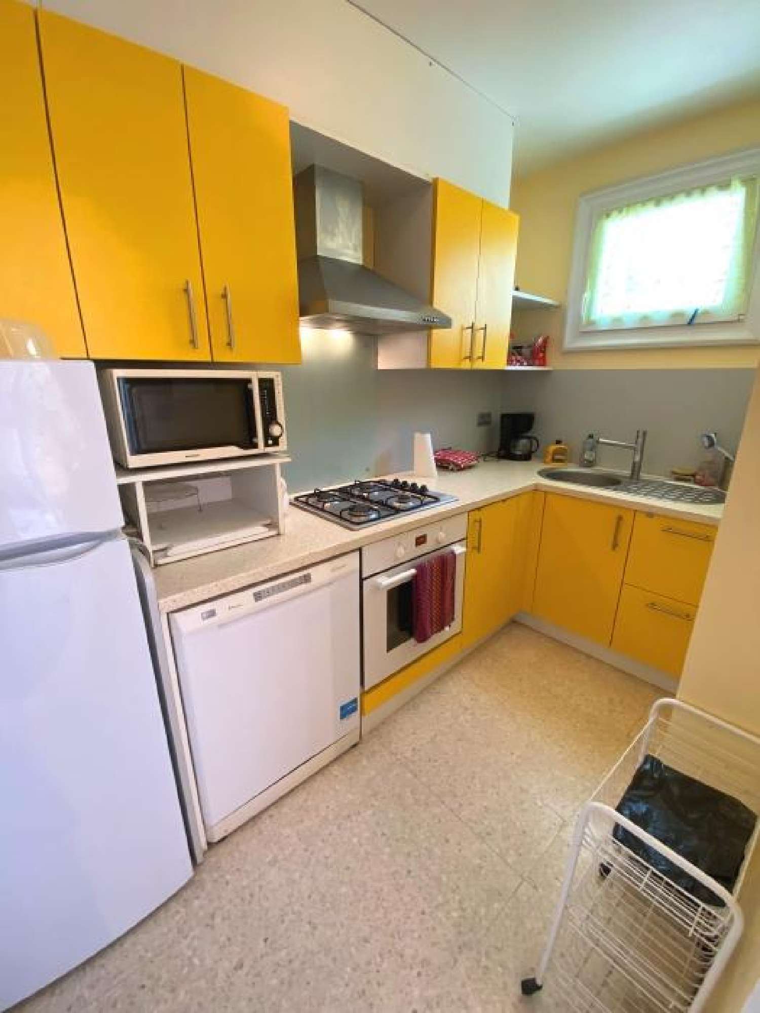  for sale house Le Grau-du-Roi Gard 3
