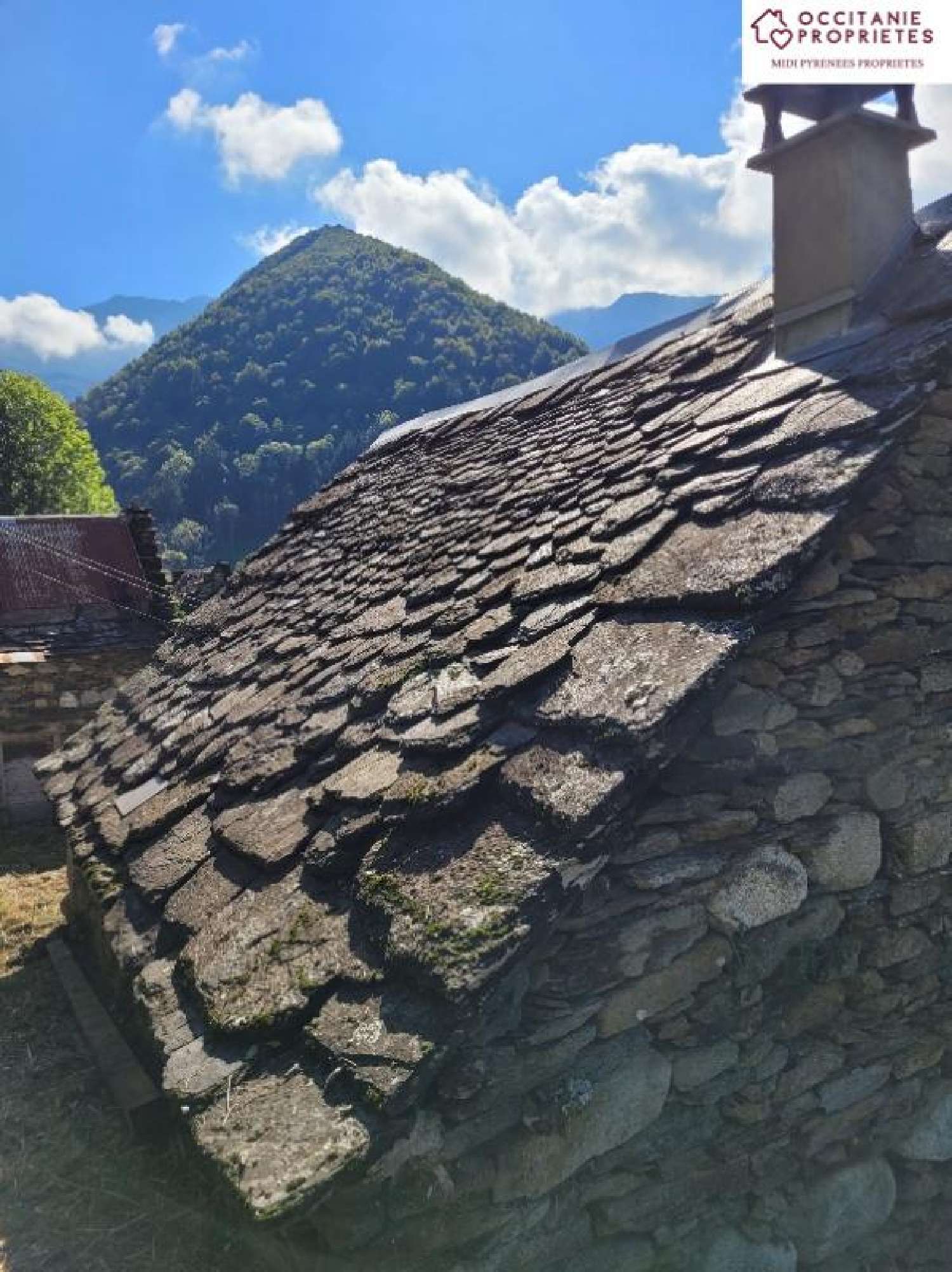  kaufen Haus Le Port Ariège 6